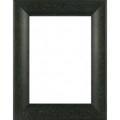 Picture Frame Bevel Washed Green