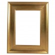 Picture Frame Gold With Black Fleck