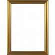 Picture Frame Bull Nose Gold