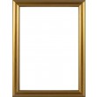 Picture Frame Bull Nose Gold
