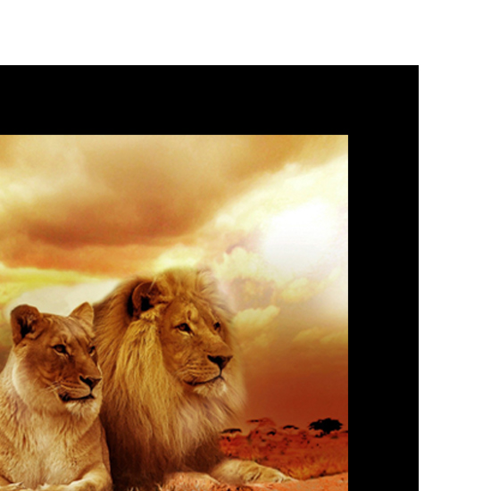 Picture Frames Photo Frame Mount Board EFrame Ireland